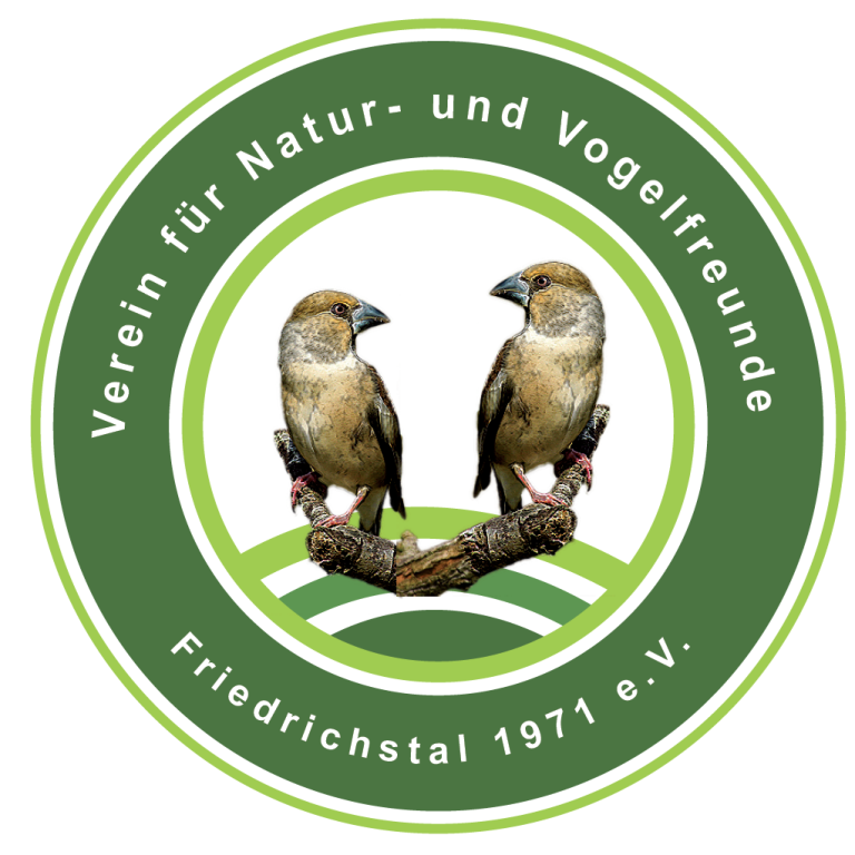 Vorstand